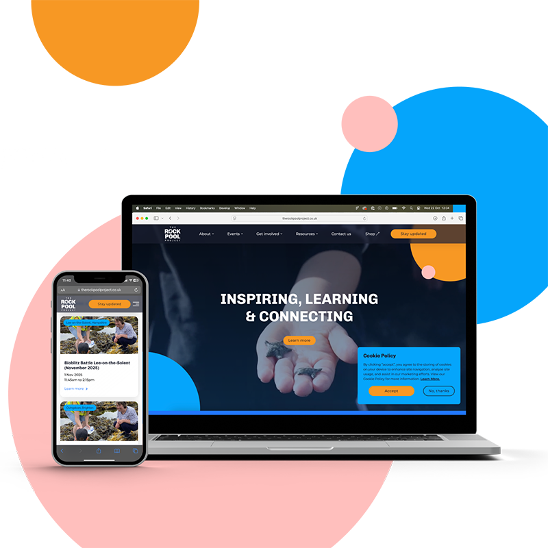 The Rock Pool Project