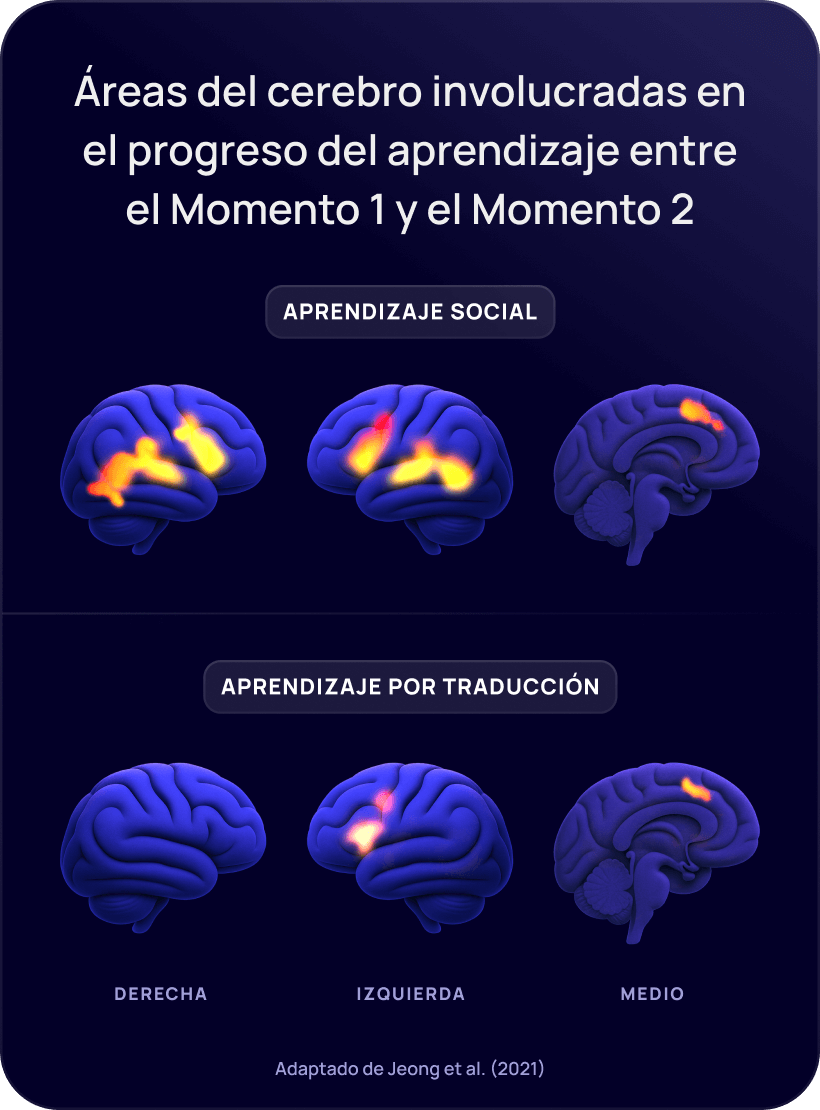 Gráfico científico que compara los patrones de activación cerebral entre el aprendizaje social y el aprendizaje por traducción en dos momentos distintos. La fila superior (aprendizaje social) muestra una activación bilateral generalizada del cerebro, mientras que la fila inferior (aprendizaje por traducción) presenta una actividad más limitada, principalmente en el hemisferio izquierdo. Imagen adaptada de Jeong et al. (2021).