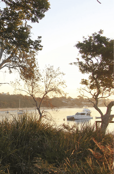 Sutherland Shire Location Shot