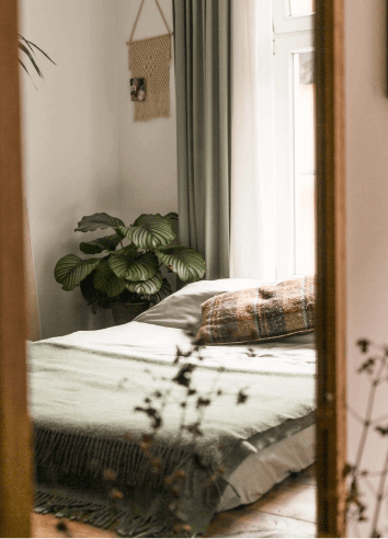 Mattress removal image