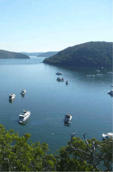 Ku-ring-gai Location Shot