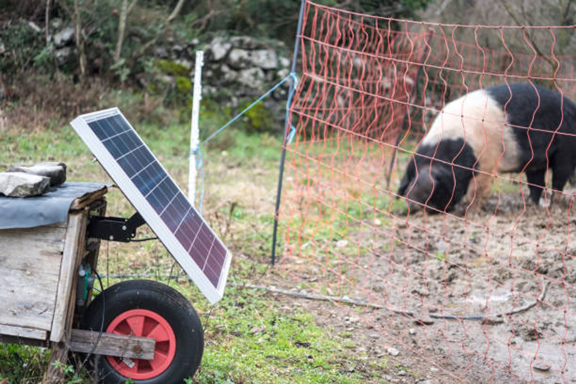 Solar Fence Charger