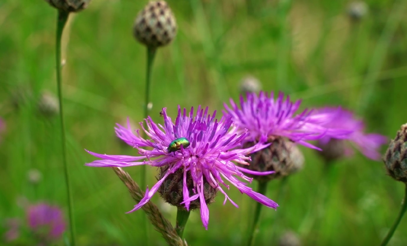Photo de la réserve naturelle