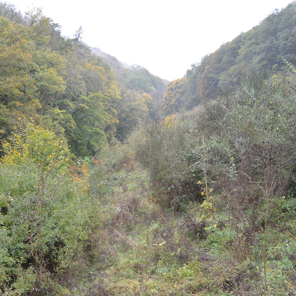 Photo de la réserve naturelle