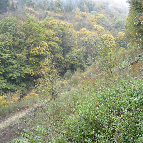 Photo de la réserve naturelle