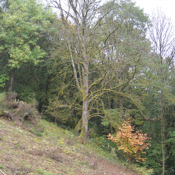Photo de la réserve naturelle