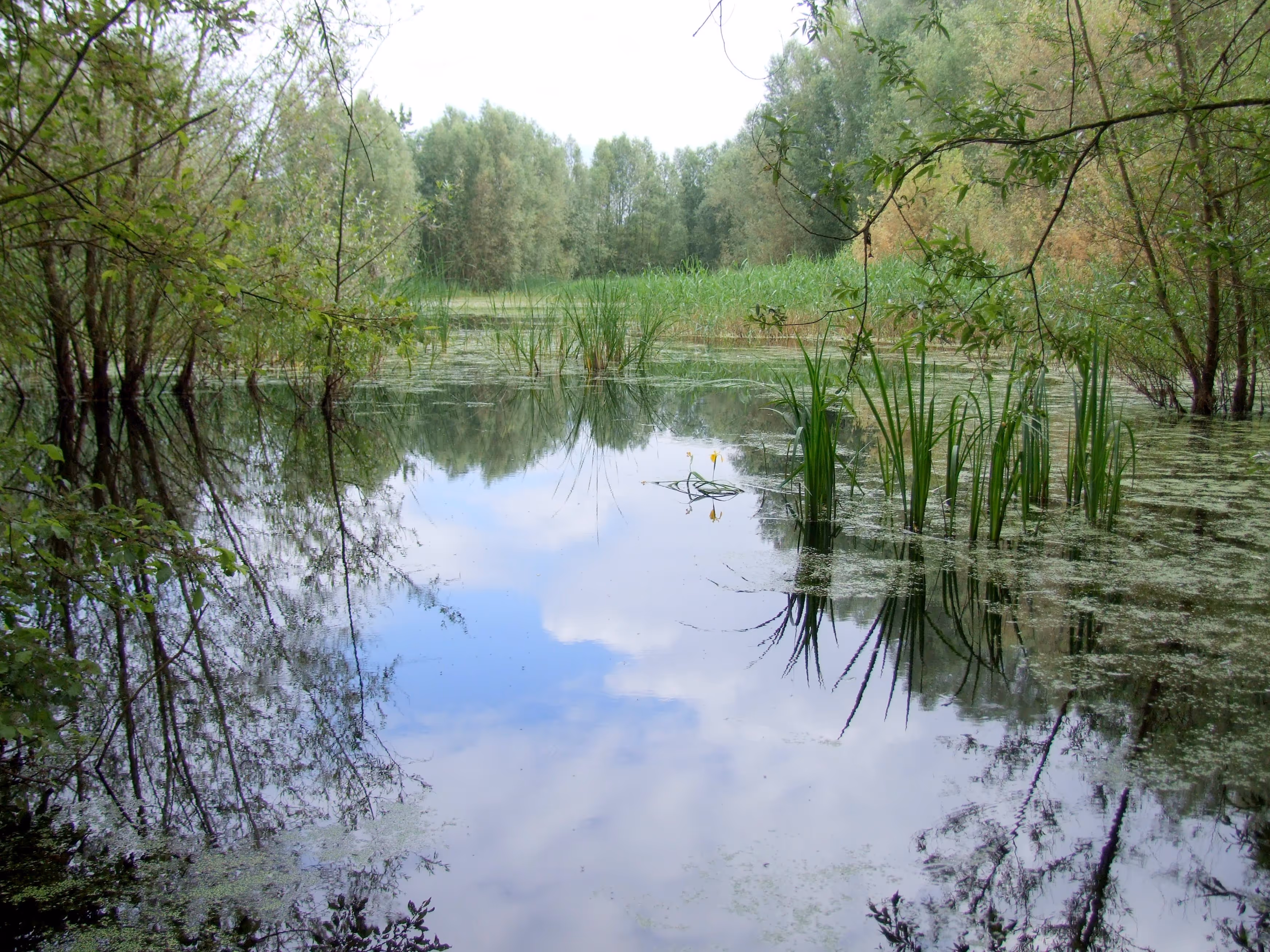 Photo de la réserve naturelle
