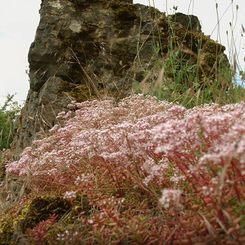 Photo de la réserve naturelle