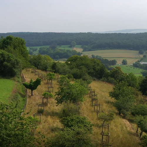 Photo de la réserve naturelle