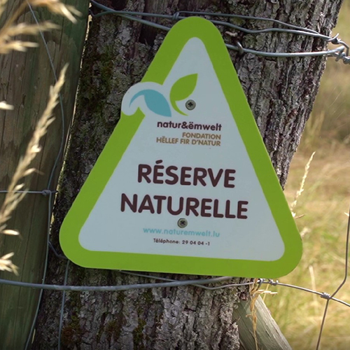 Photo de la réserve naturelle