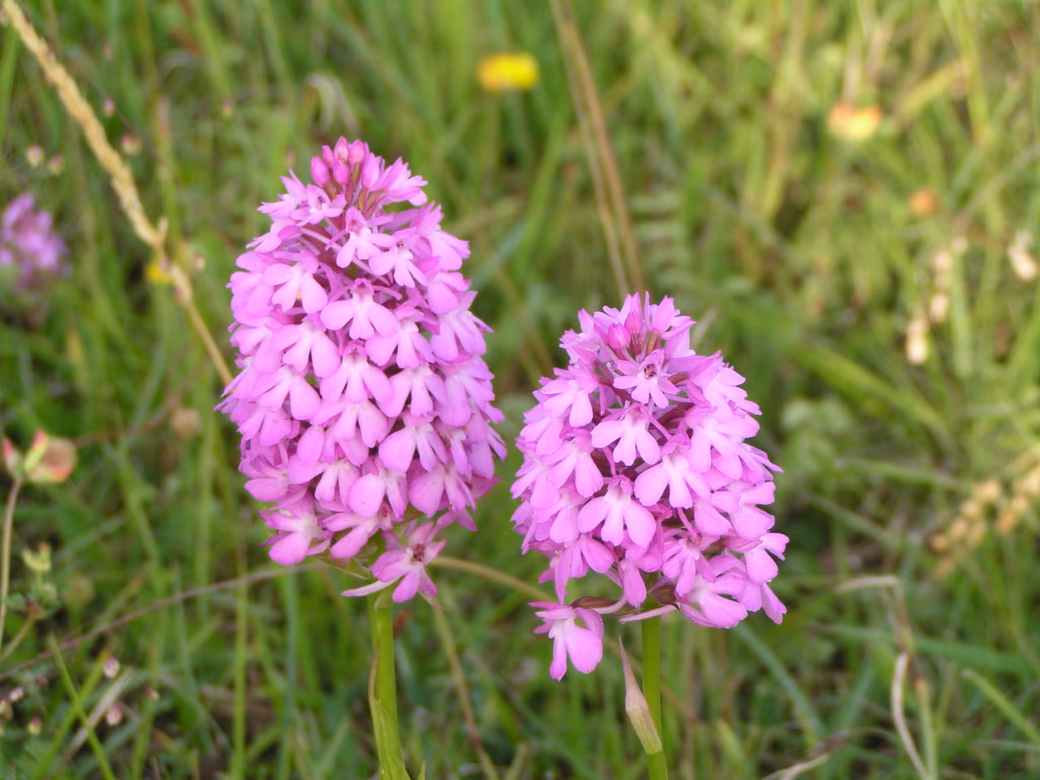 Photo de la réserve naturelle