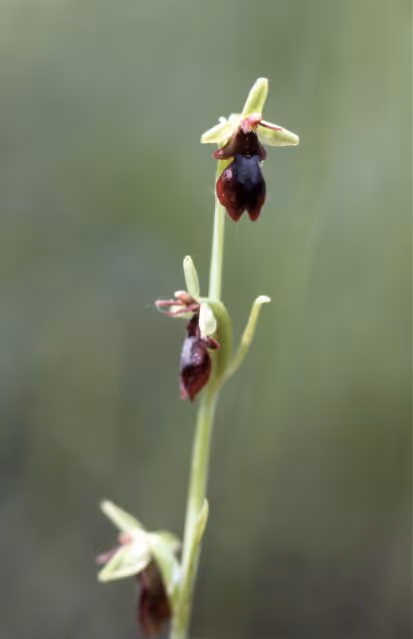 Photo de la réserve naturelle