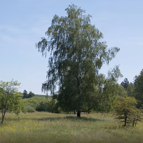 Photo de la réserve naturelle