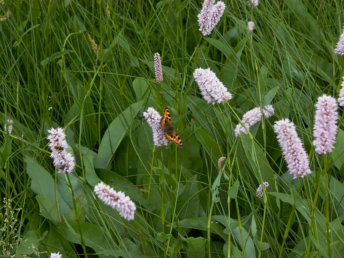 Photo de la réserve naturelle