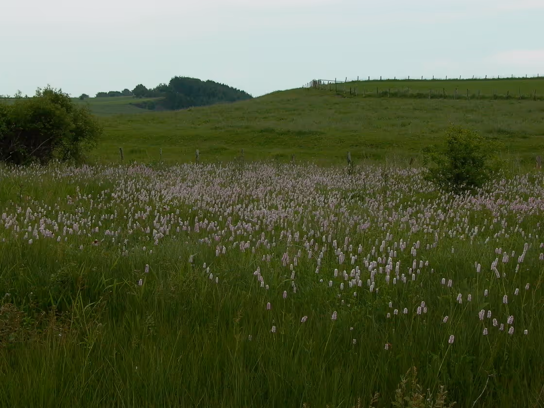 Photo de la réserve naturelle