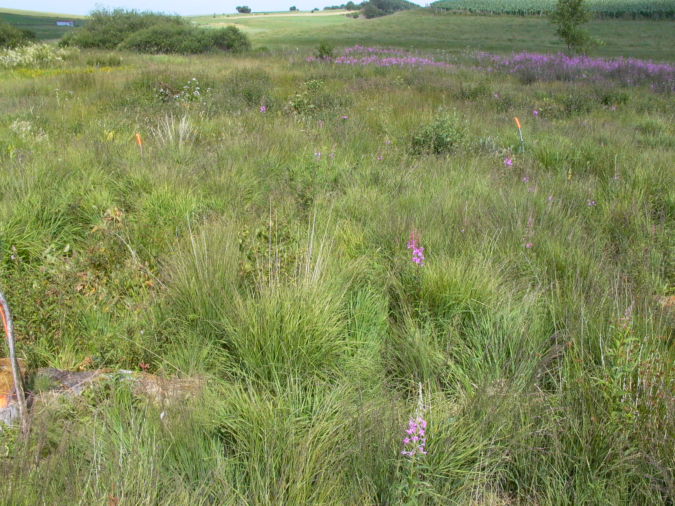 Photo de la réserve naturelle