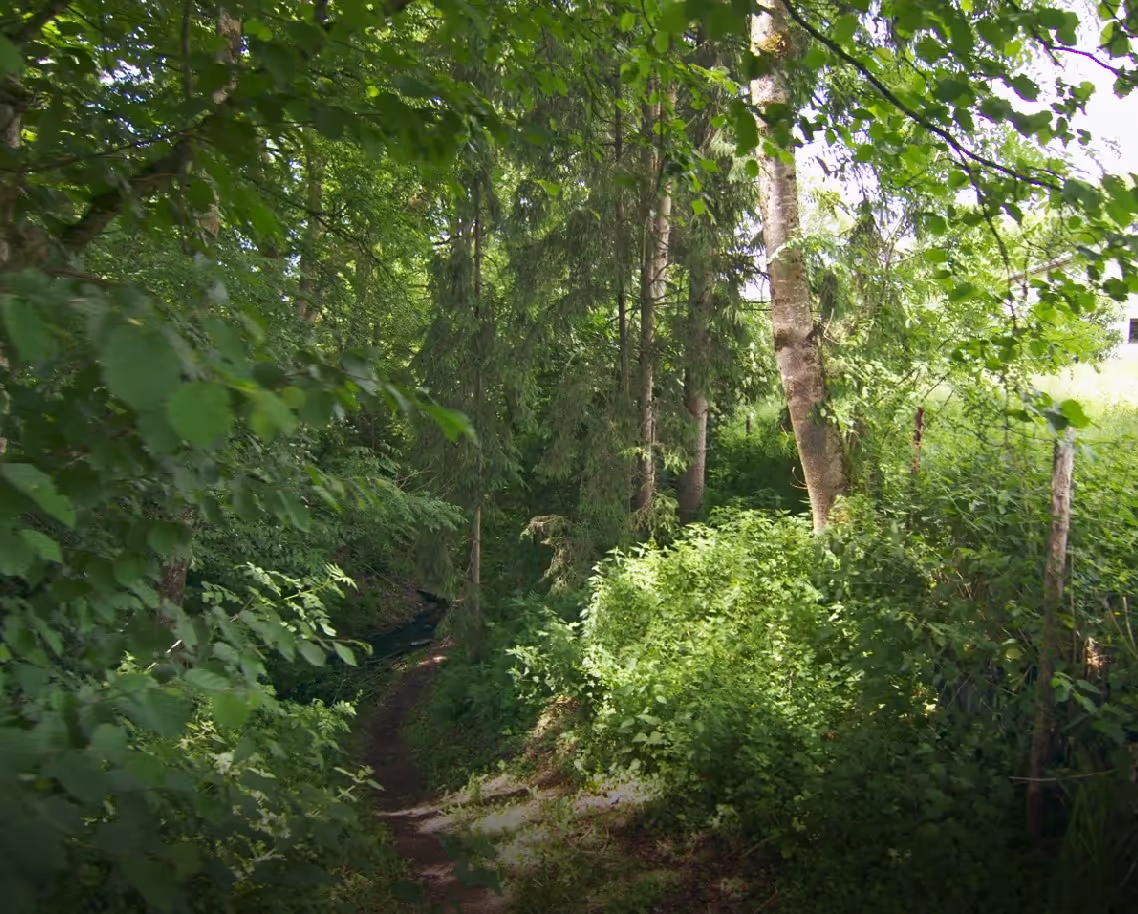 Photo de la réserve naturelle