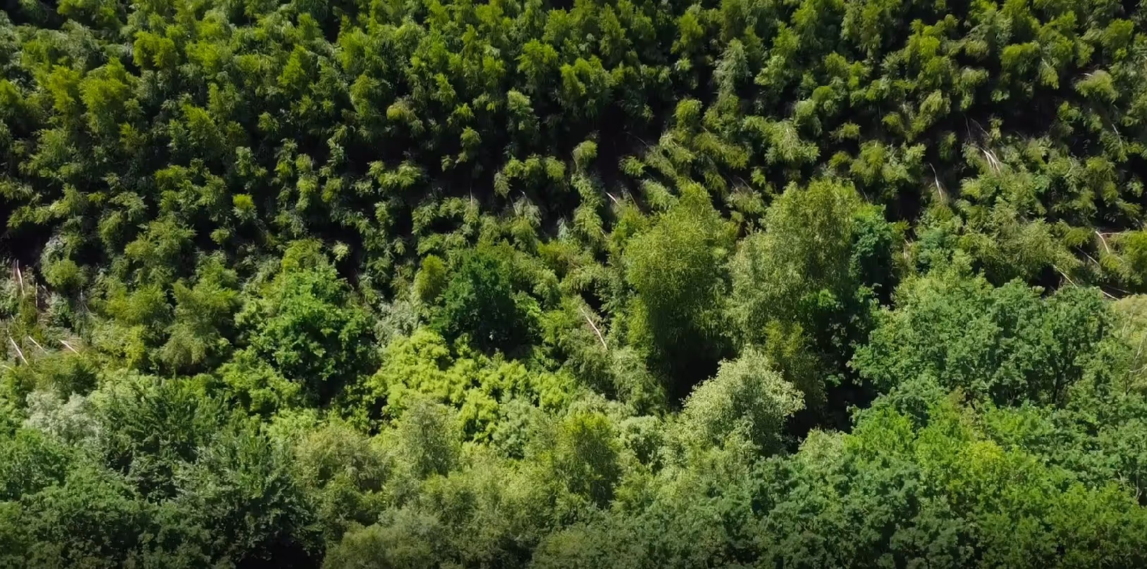 Photo de la réserve naturelle