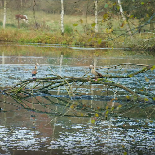 Photo de la réserve naturelle