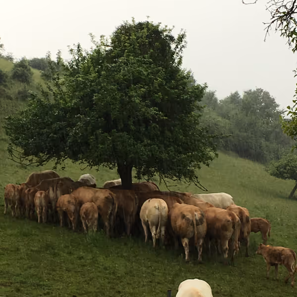 Photo de la réserve naturelle