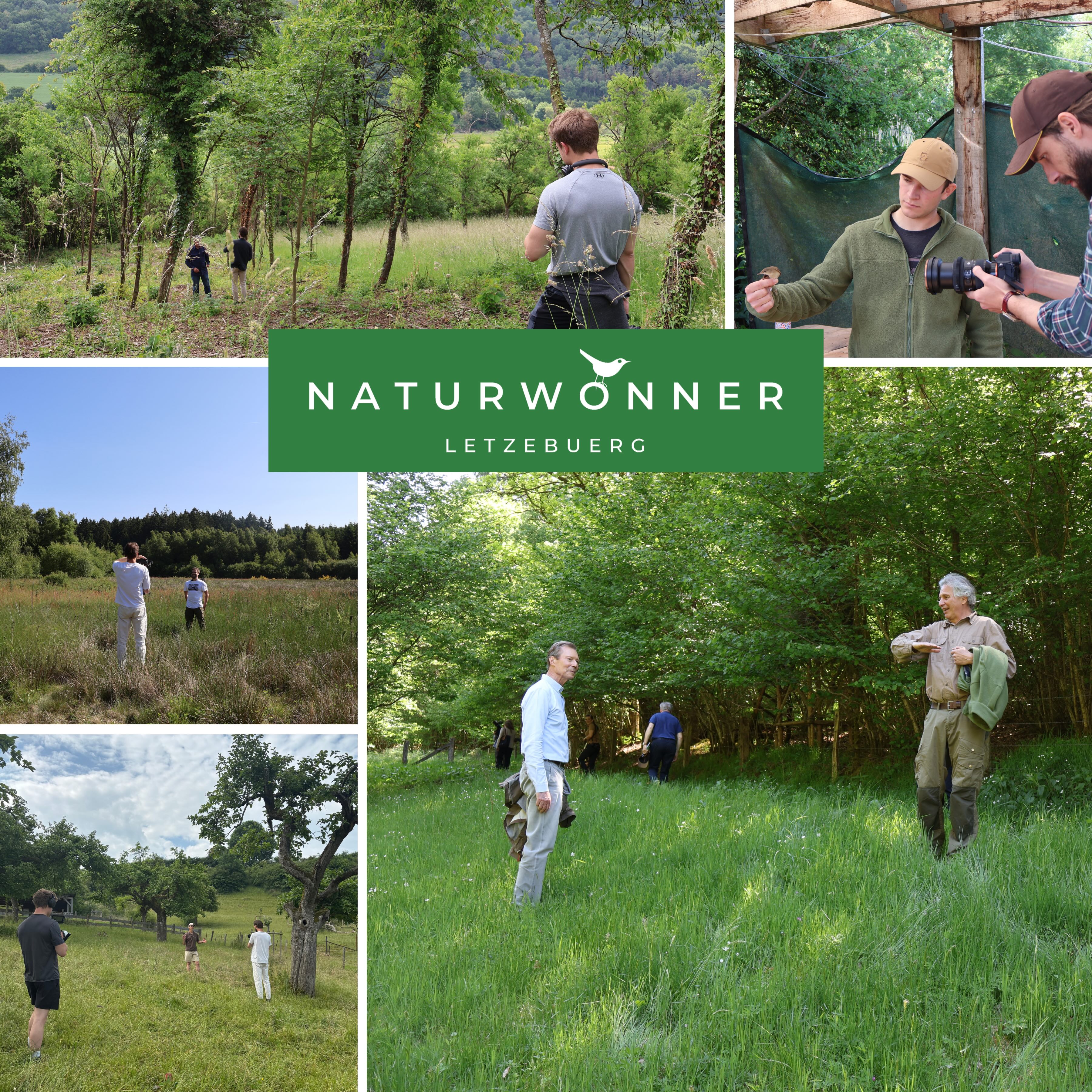 Naturwonner