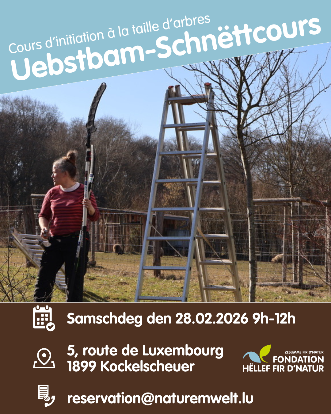 Cours de taille d'arbres fruitiers