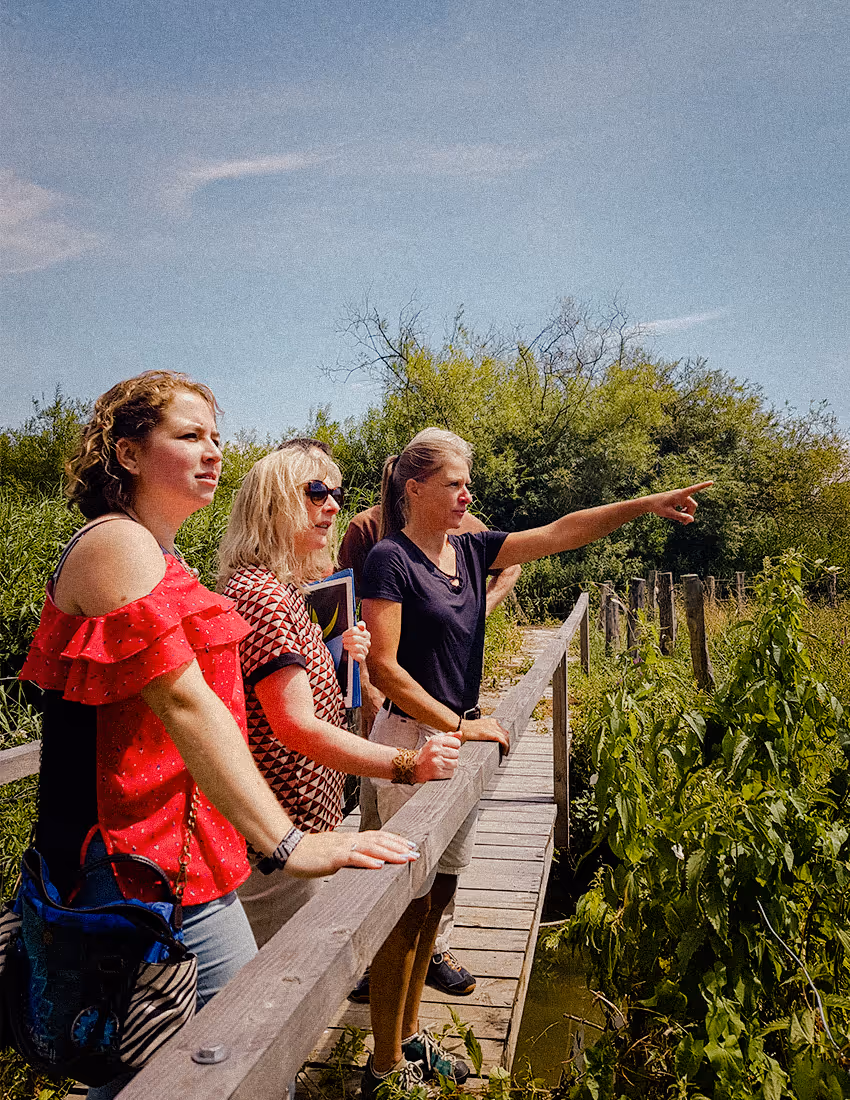 Three women standing on a wooden walkway pointing and looking at greenery on a sunny day.