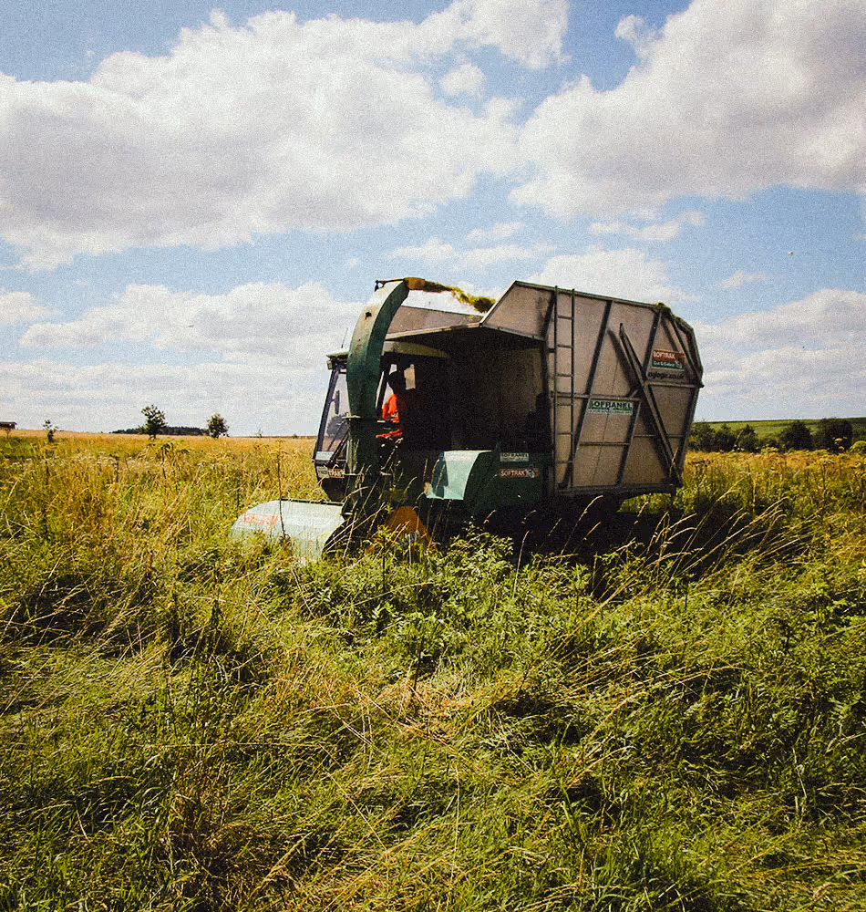 Green forage harvester operating in a tall grassy field under a partly cloudy sky.