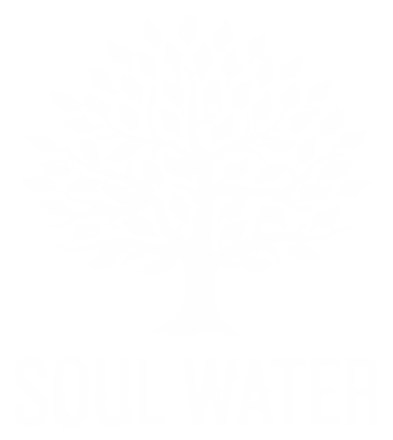 Soul Water