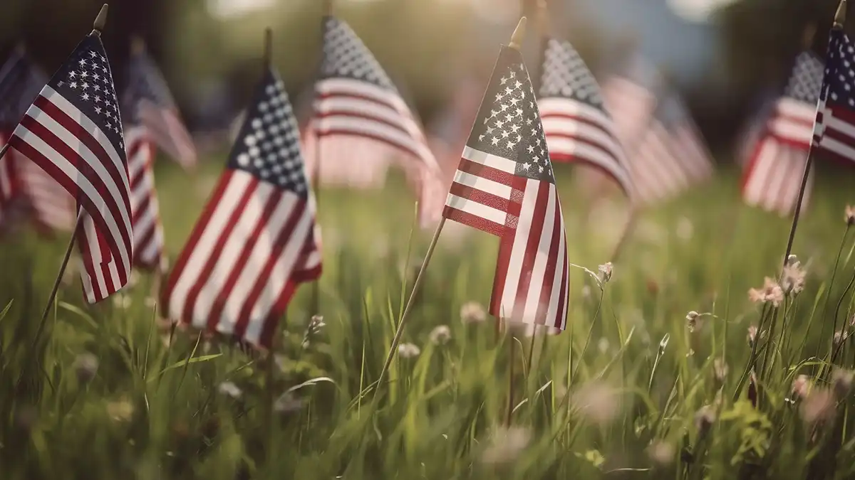 Multiple small American flags stand in a sunlit grassy field. A beautiful outdoor tribute to honor veterans and military families on Memorial Day.