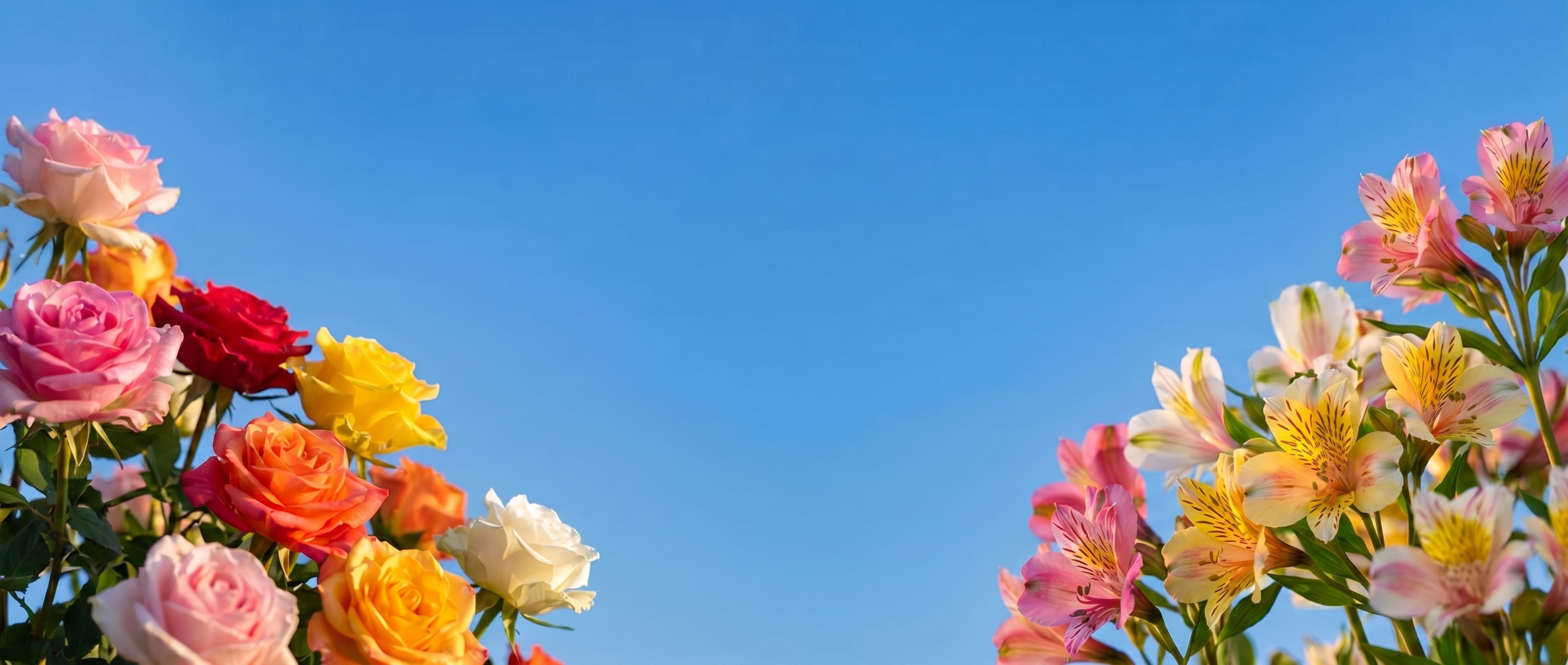 Home page Banner
