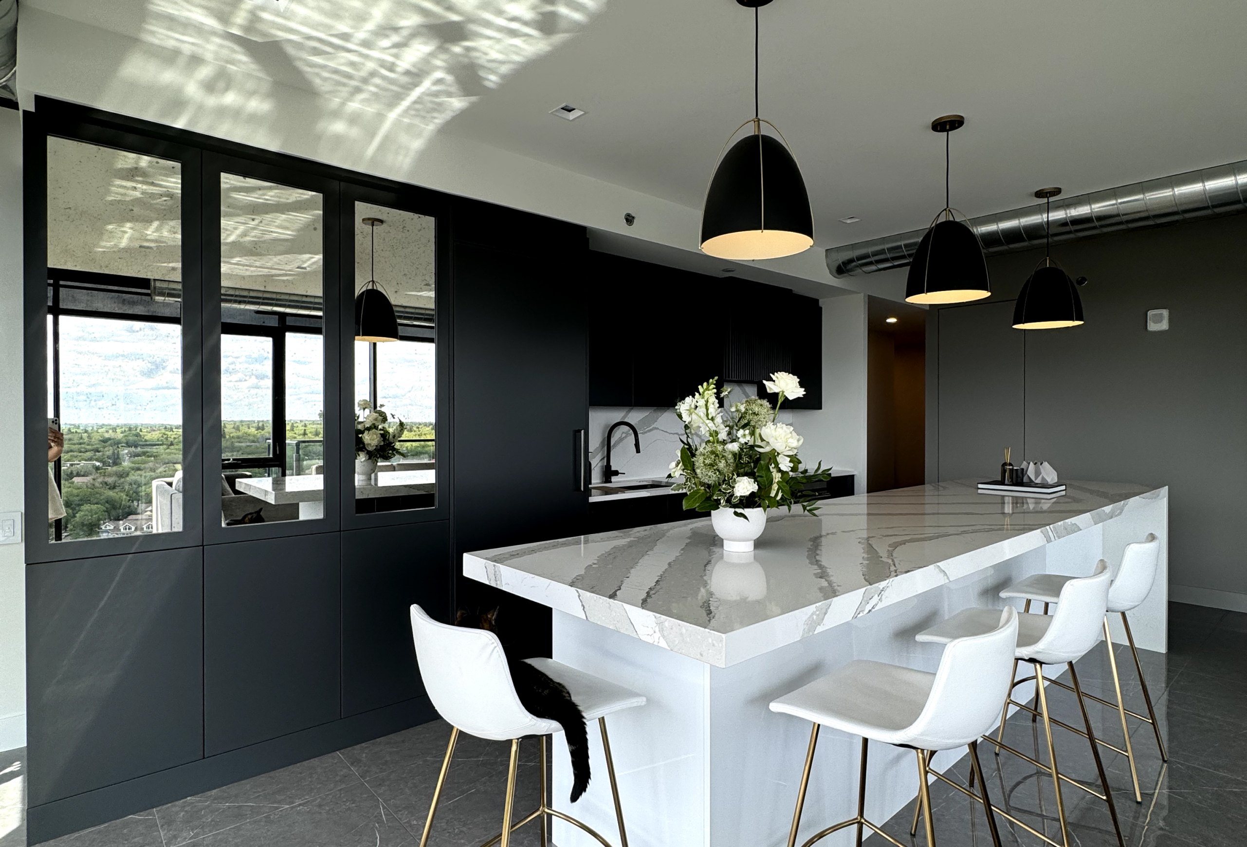 A luxurious modern black and white kitchen