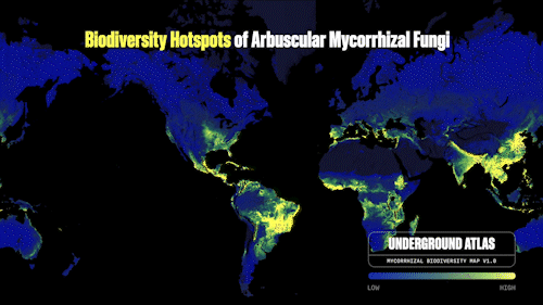 Biodiversity Hotspots