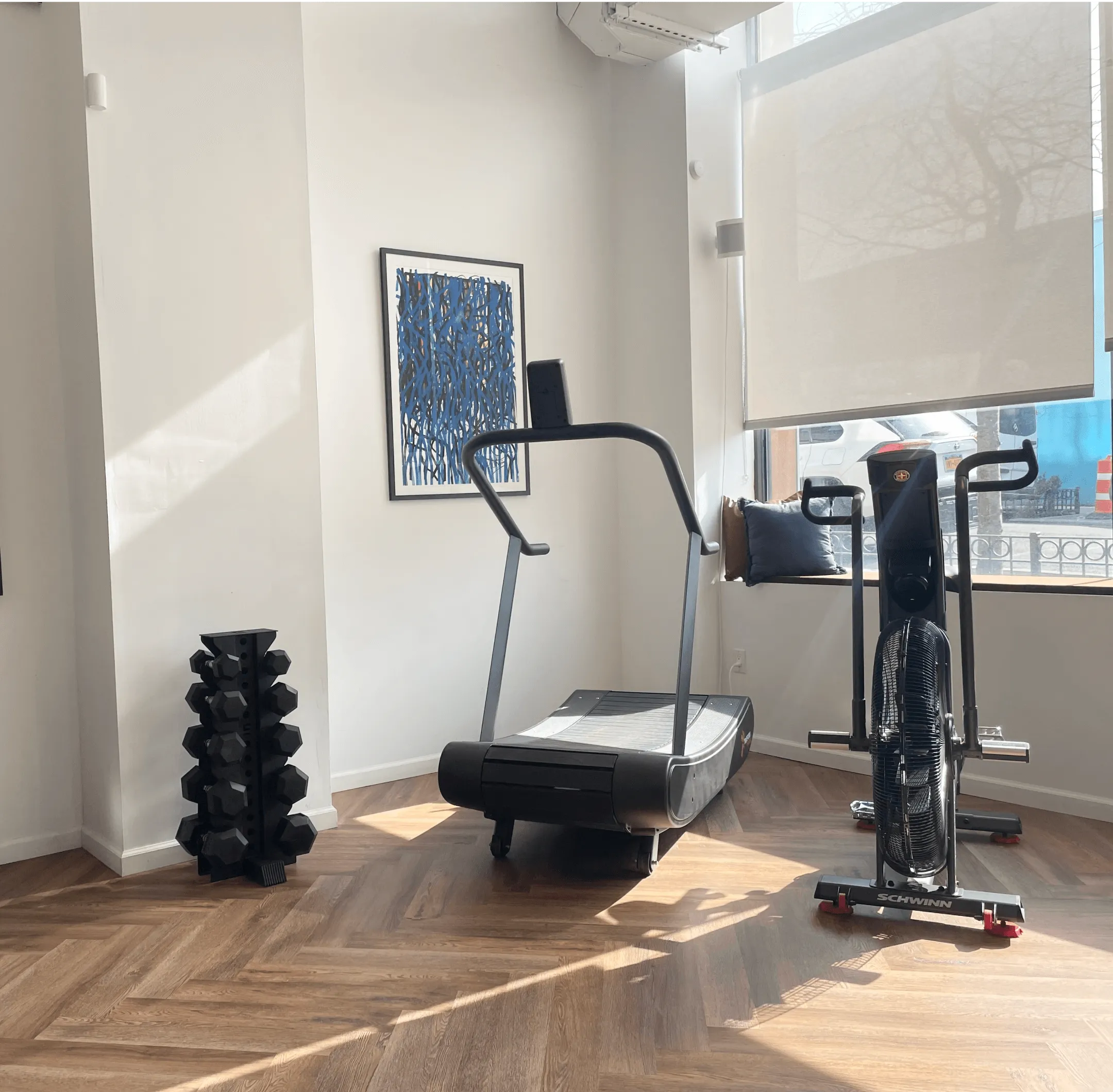 Bright fitness room with wooden floor featuring a curved treadmill, a Schwinn air bike, and a rack of black hex dumbbells near a large window with a roller shade.