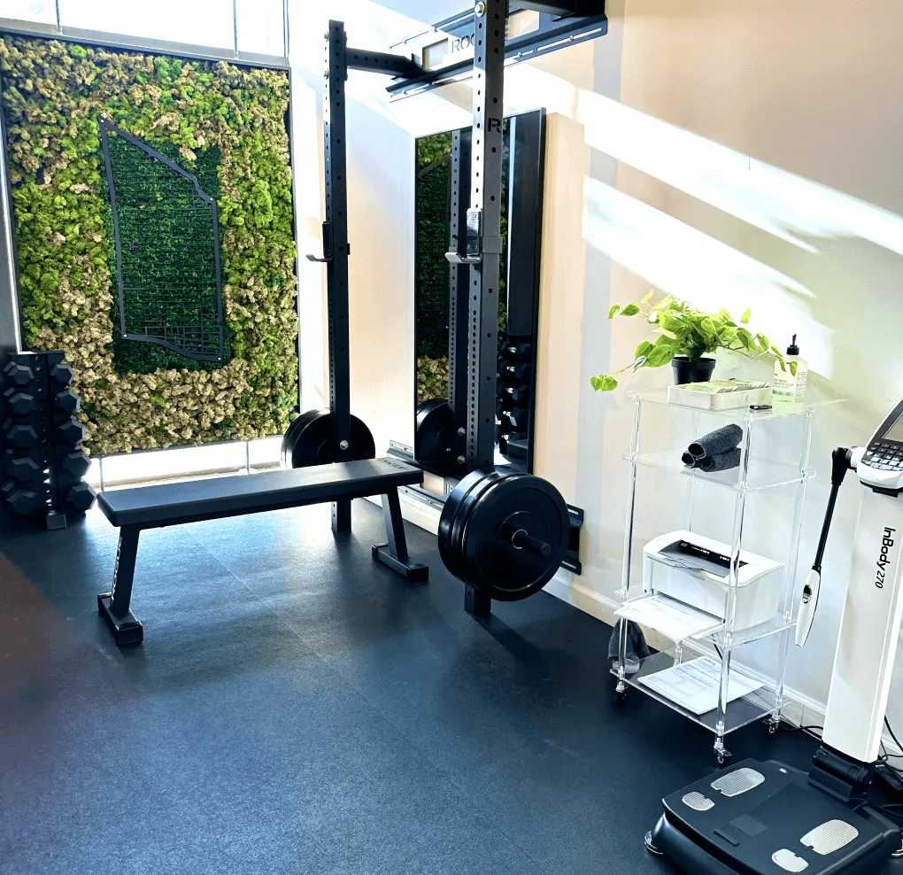 Modern gym corner with a weight bench, weighted barbell, dumbbell rack, clear storage shelves with towels and plant, and a Body composition analyzer.