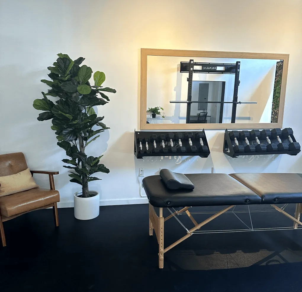 Minimalist fitness room with black massage table, brown chair, potted fiddle leaf fig tree, dumbbells on wall racks, and large wall mirror reflecting gym equipment.