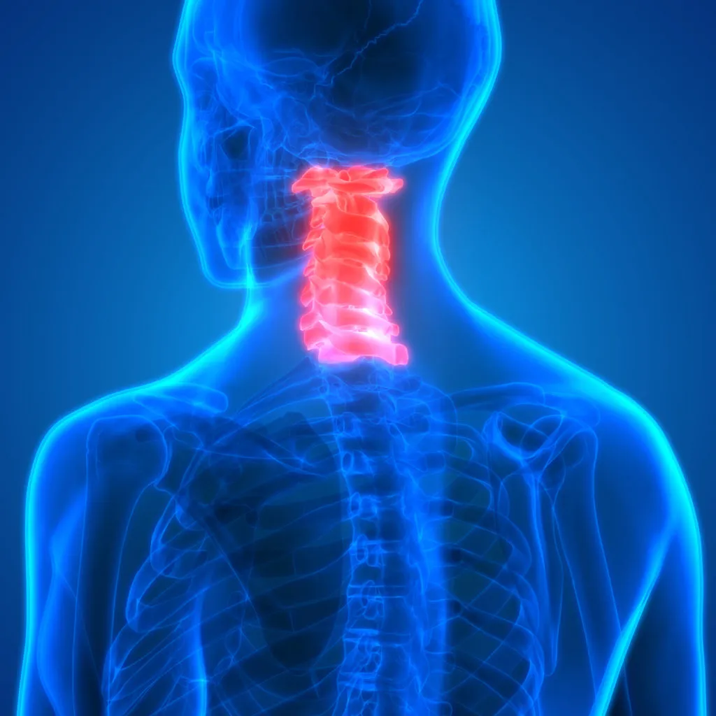 Glowing blue x-ray style illustration of the upper body with the neck bones highlighted in red