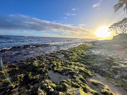 Second Saturday Volunteers