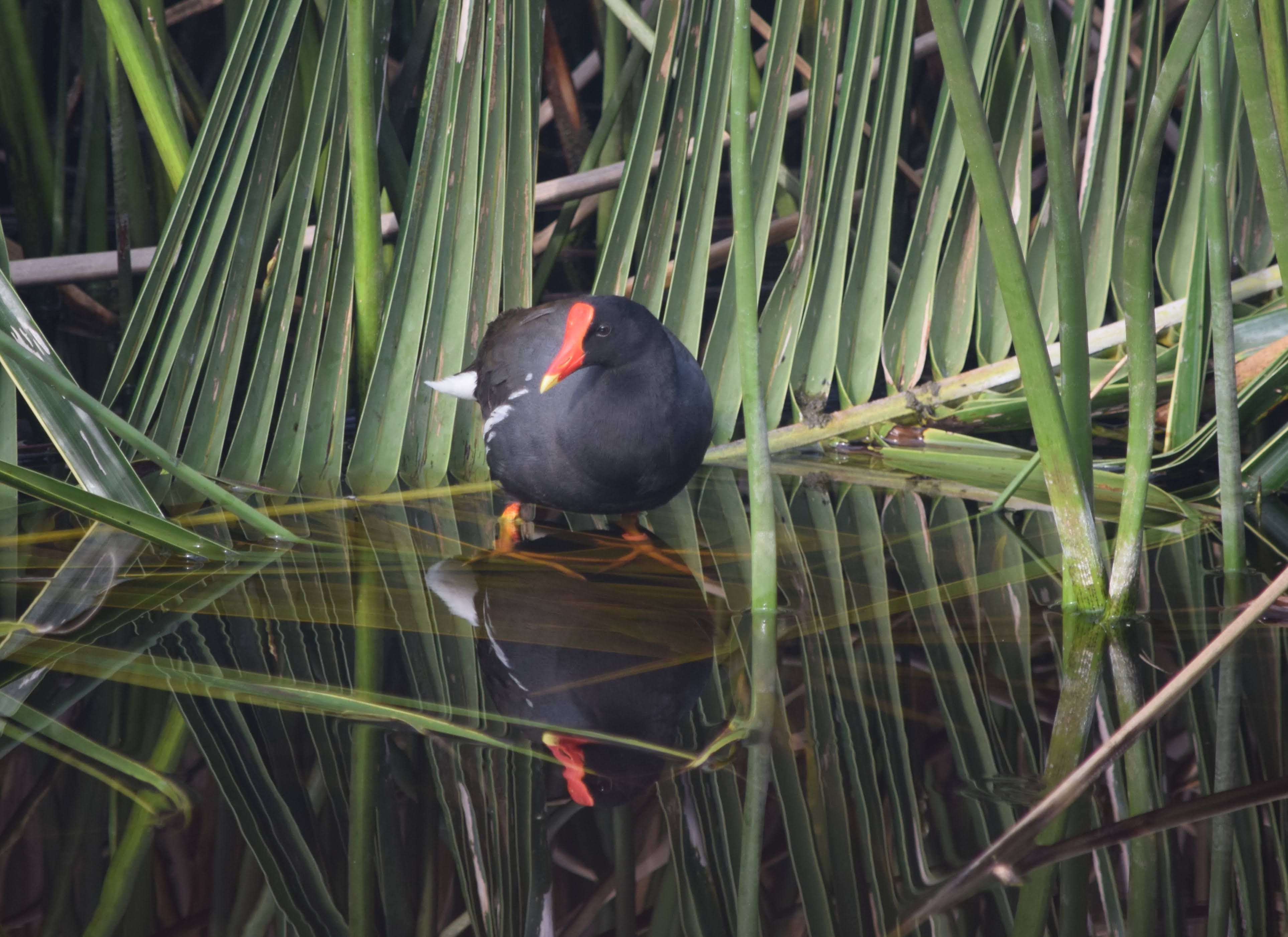 Second Saturday Volunteers