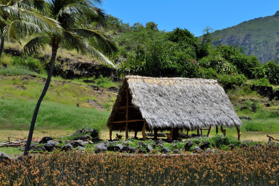 Second Saturday Volunteers