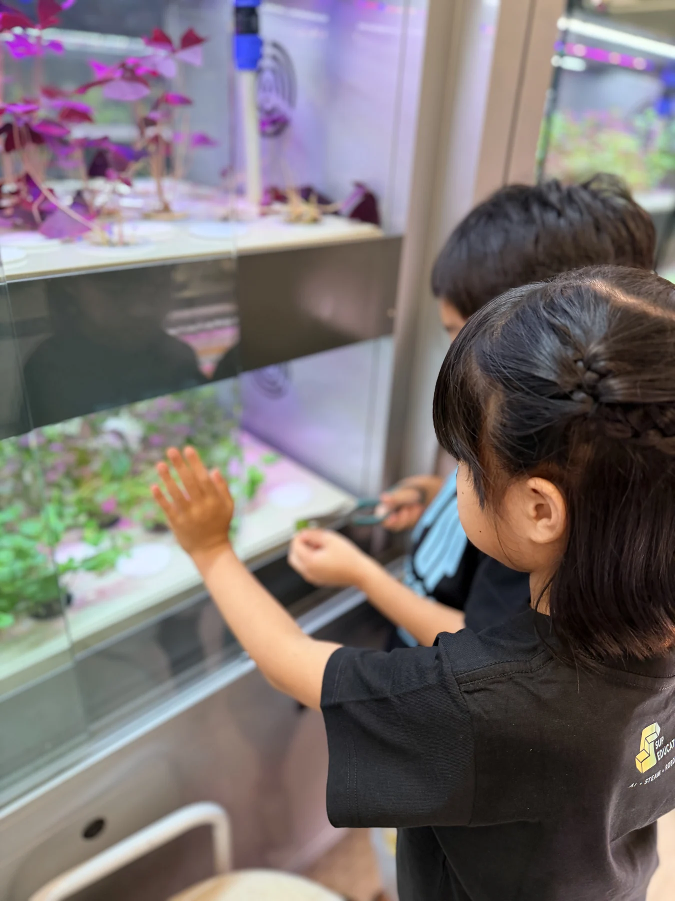 Children exploring indoor growing shelves at SEED by Farmacy