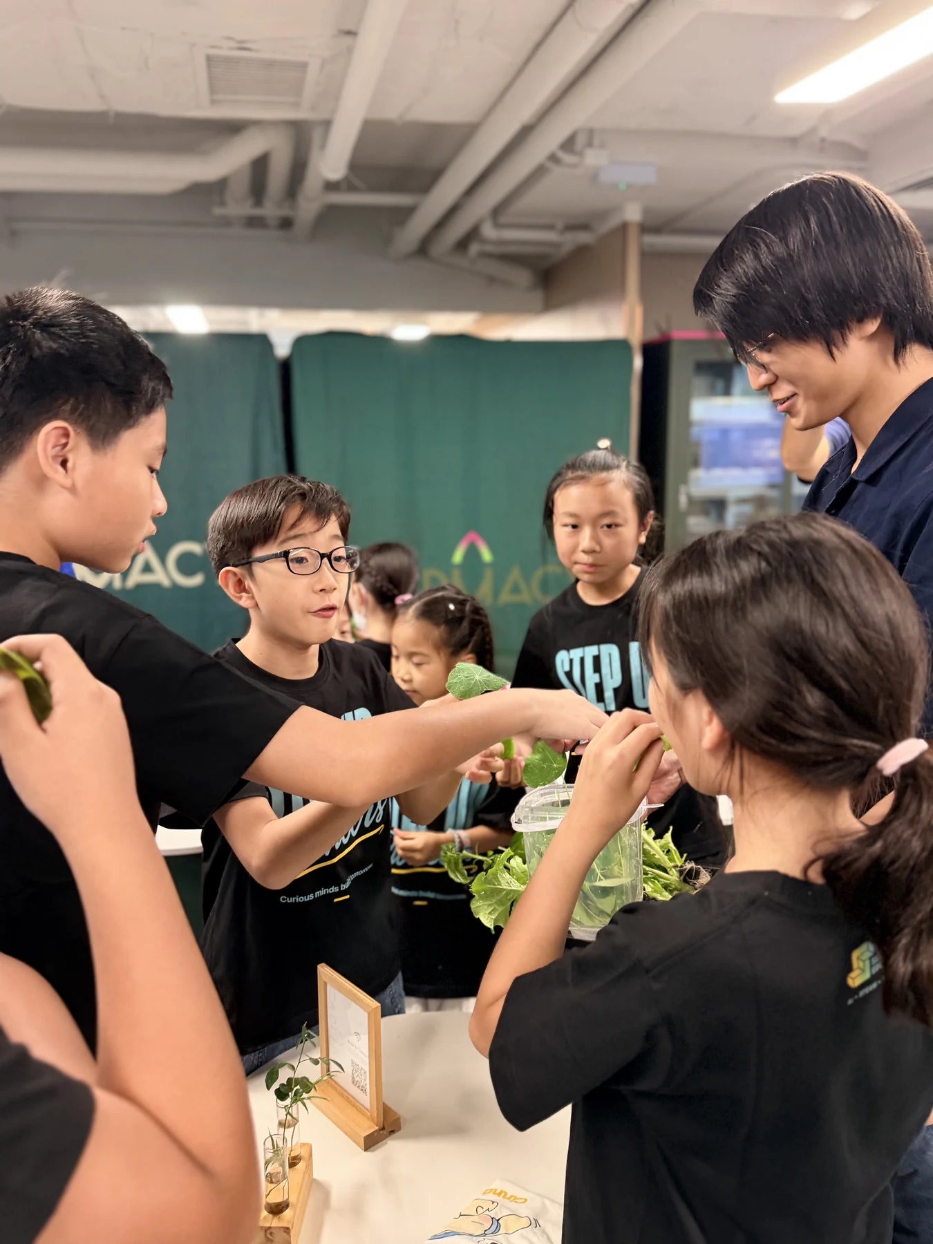 SUP students working on hands-on activities at Farmacy Green Hub