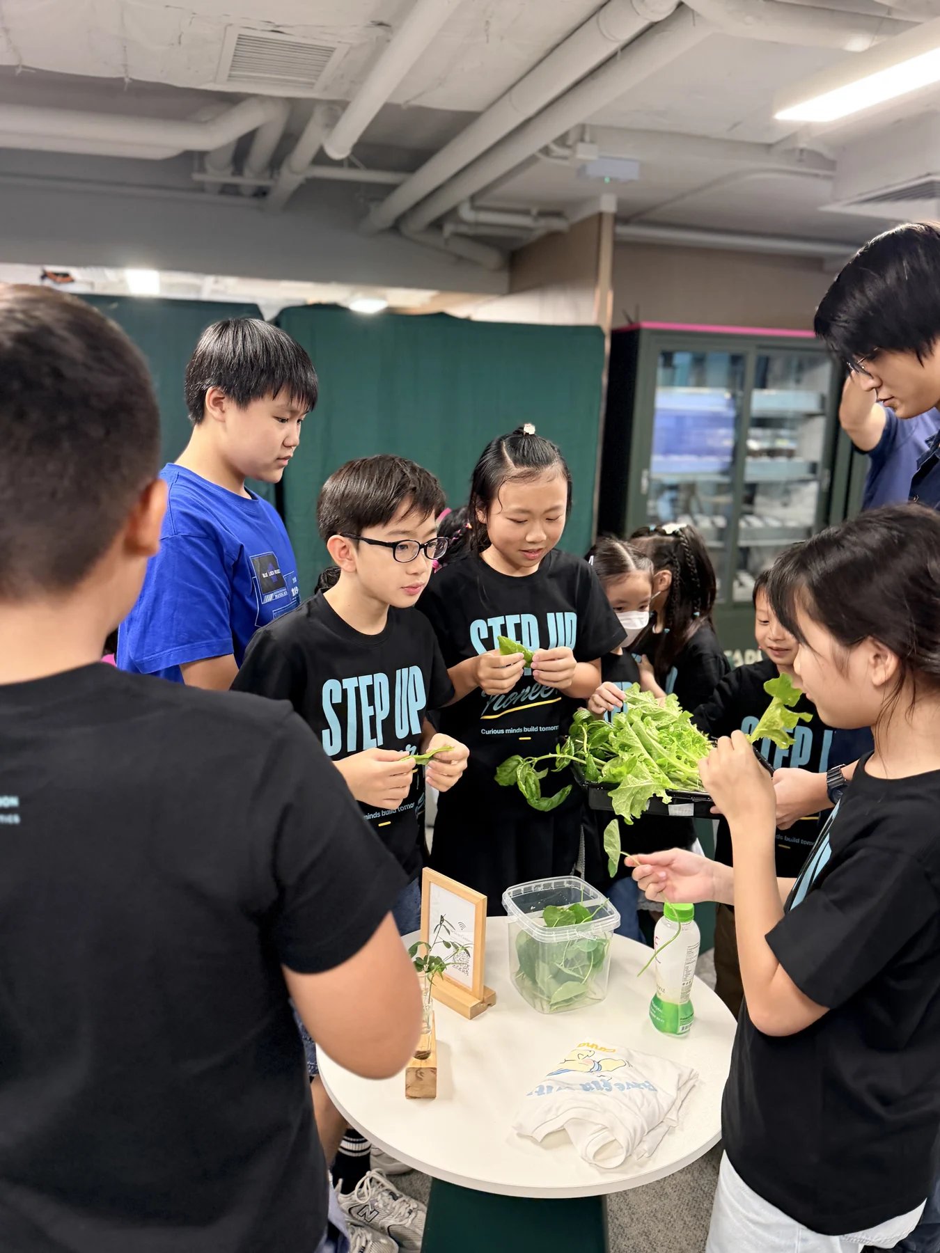 SUP students working on hands-on activities at Farmacy Green Hub