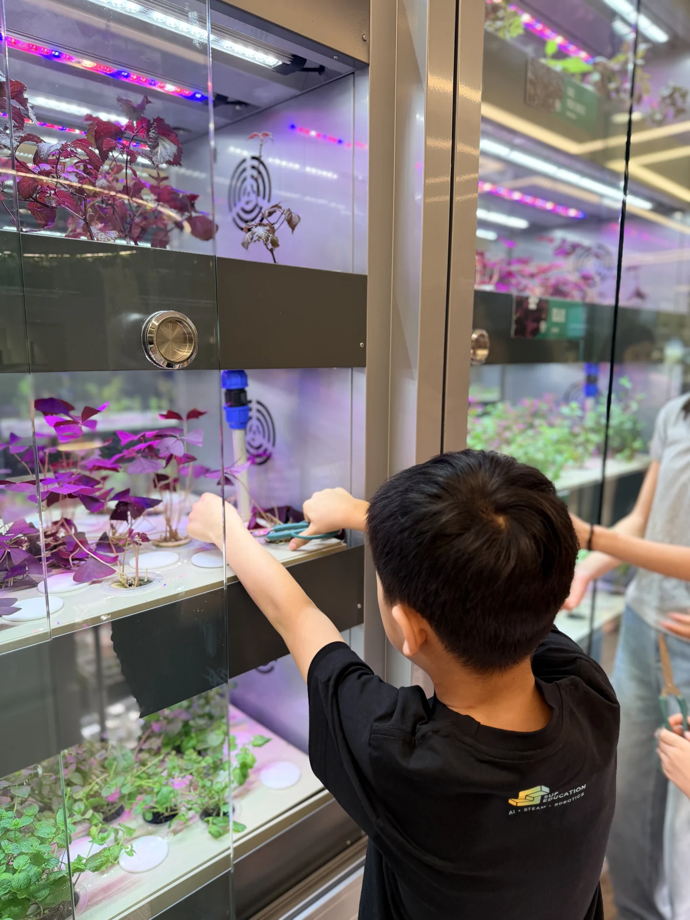 Children exploring indoor growing shelves at SEED by Farmacy