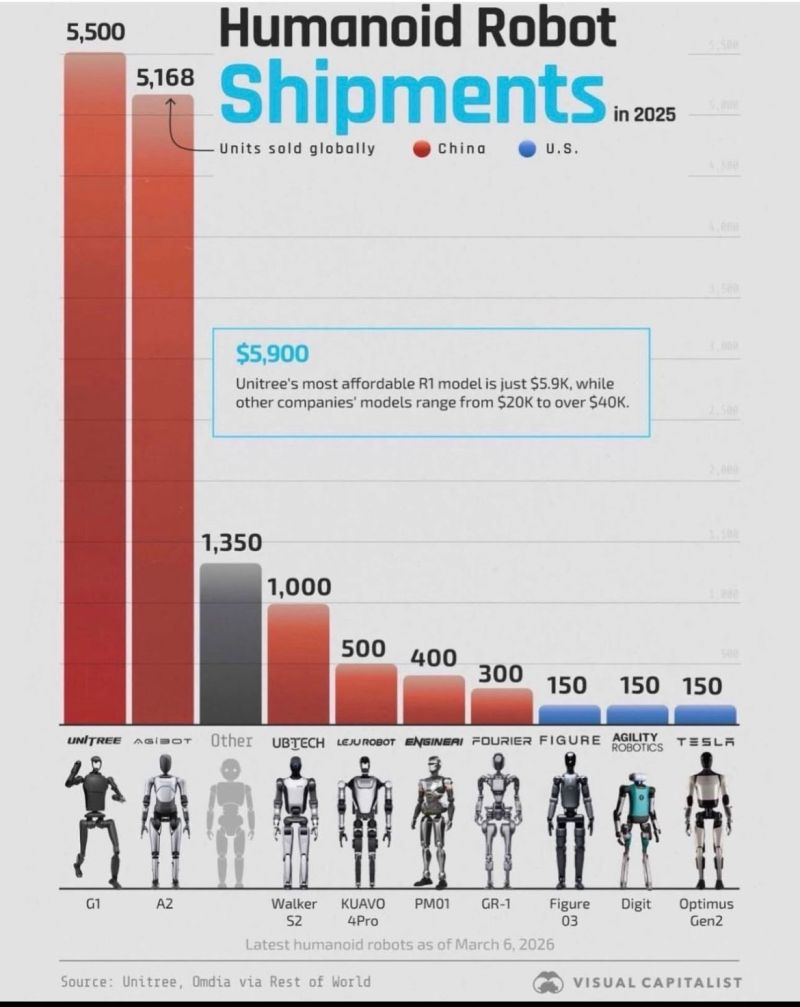 Bar chart showing Chinese companies led 2025 humanoid robot shipments: Unitree 5,500 and Agibot 5,168, versus 150 each for three US firms.