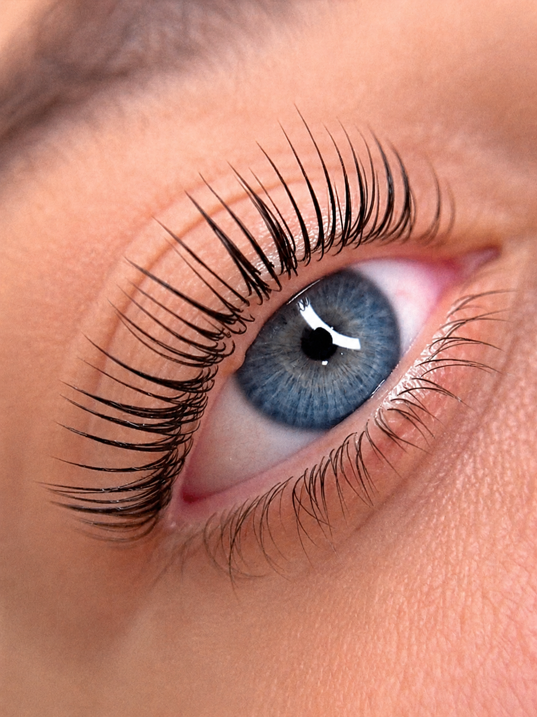 Lash Lifts 1