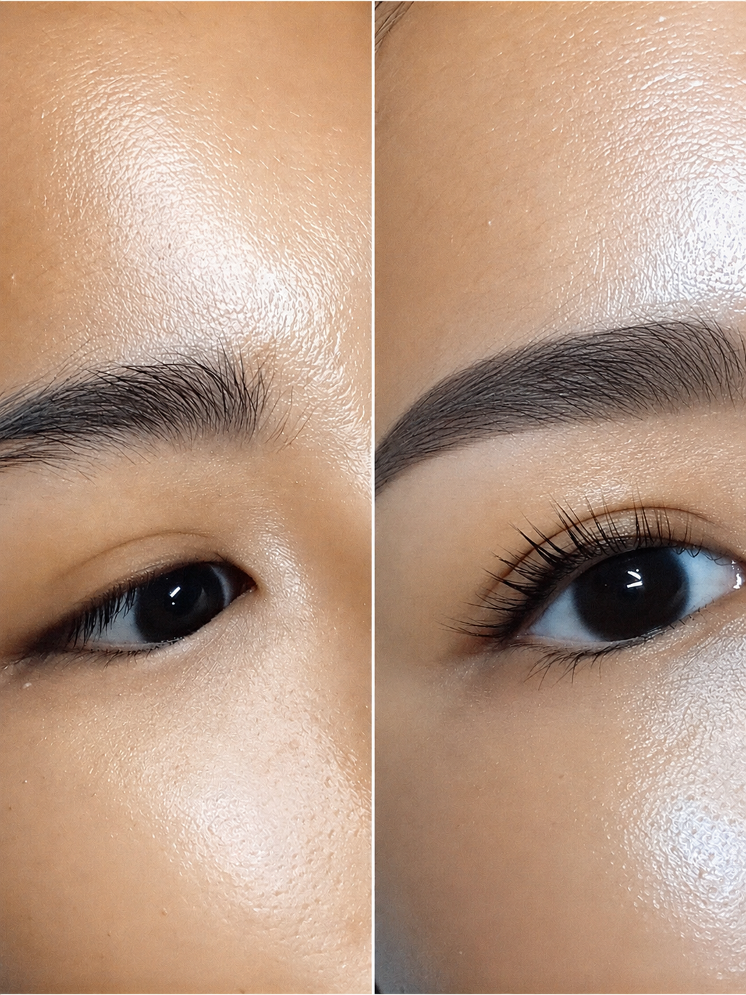 Lash Lifts 6