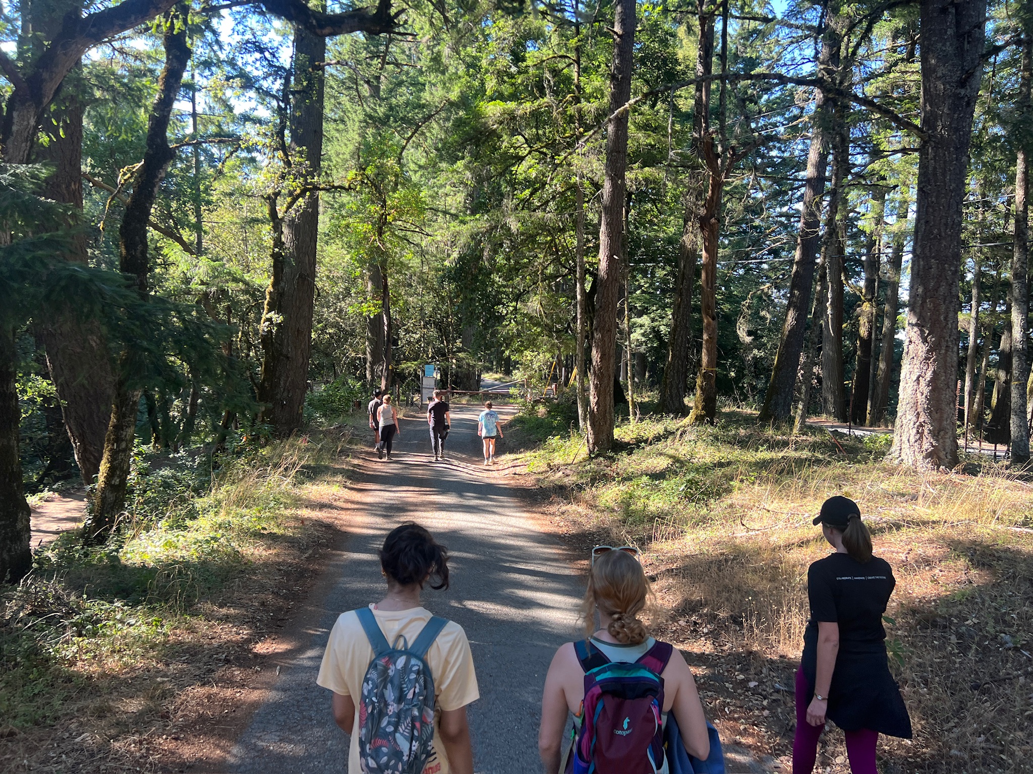 Hiking views during NIS Sandbox trip