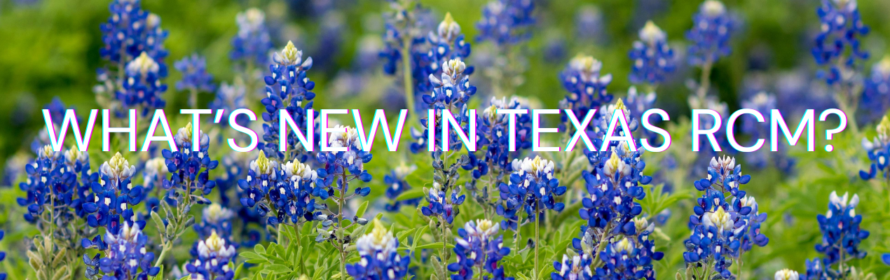 bluebonnets in texas in 2026
