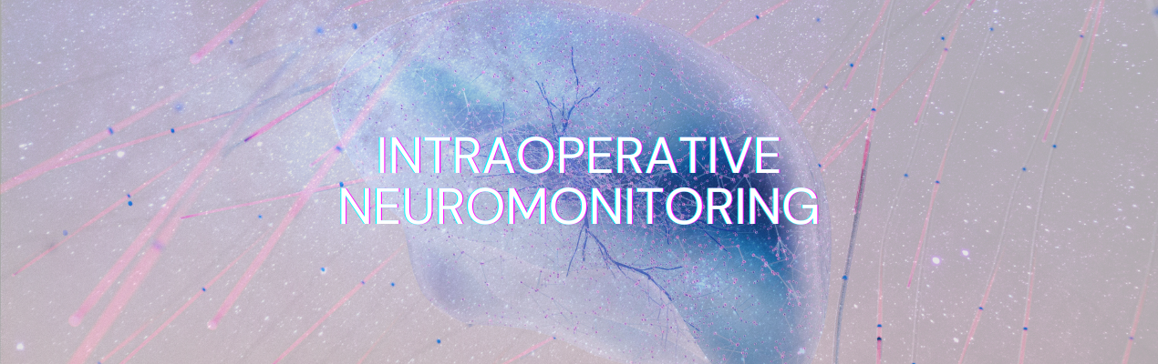 a neural network at work